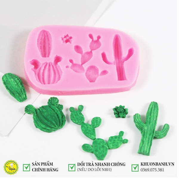 Khuôn silicon vỉ xương rồng và khuôn đá rối ốp viền đá rối khuôn socola khuôn rau câu trang trí bánh ngọt