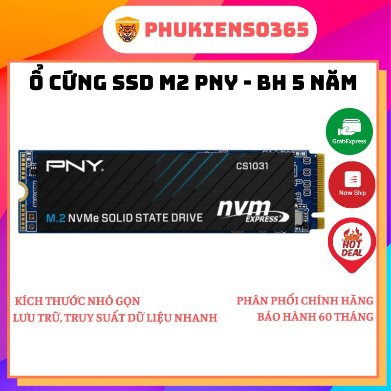 Ổ cứng SSD PNY M2 NVMe 256GB/ 512GB ( CS1031) Chính hãng - Bảo Hành 5 Năm