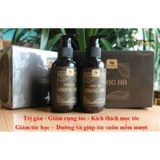 Dầu gội đầu - dầu xả
