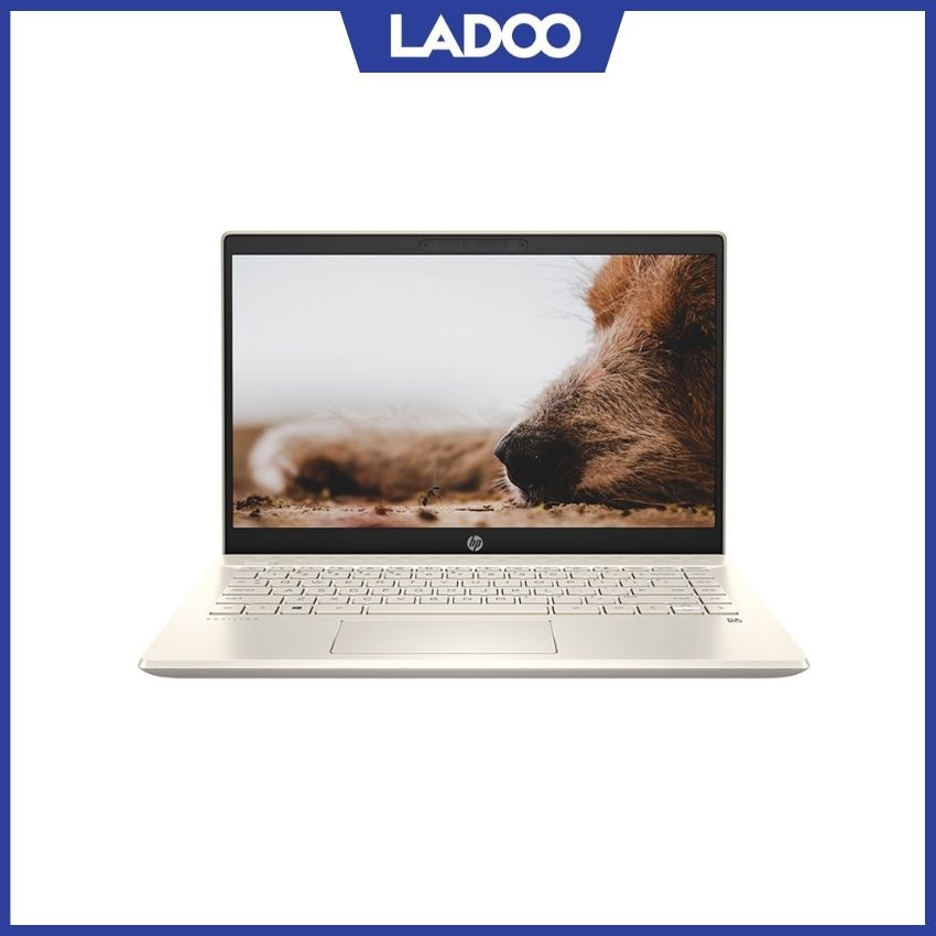 Laptop HP Pavilion X360 14-dy0169tu (4Y1D4PA)/ Gold/Core i5-1135G7/ RAM 8GB/ 512GB SSD/14'' Touch/ Win 11SL/ 1Yr