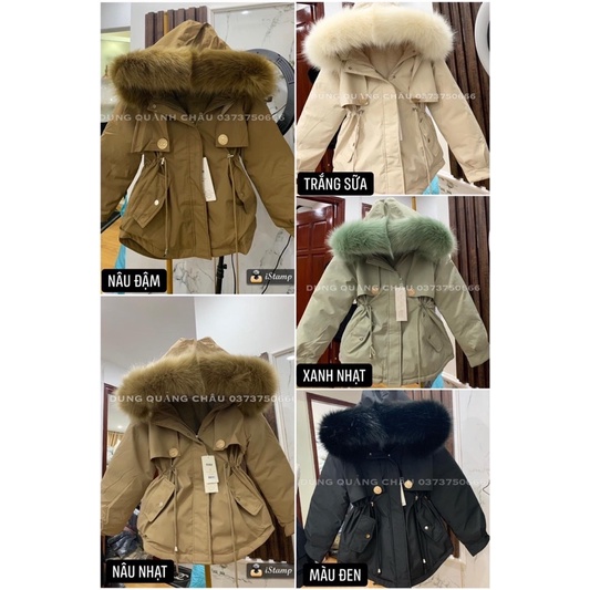 COMBO SỈ 10 ÁO PACKA