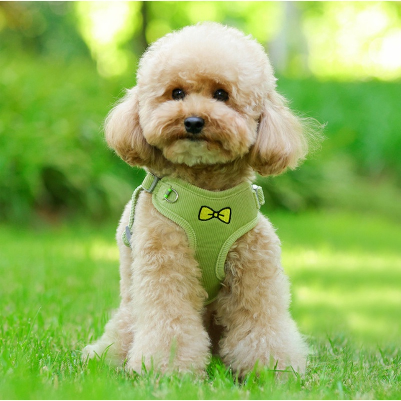 Dây Dắt Thú Cưng Đi Dạo Bằng Vải Nhung Thêu Hình Trái Tim Kích Thước Nhỏ Và Vừa