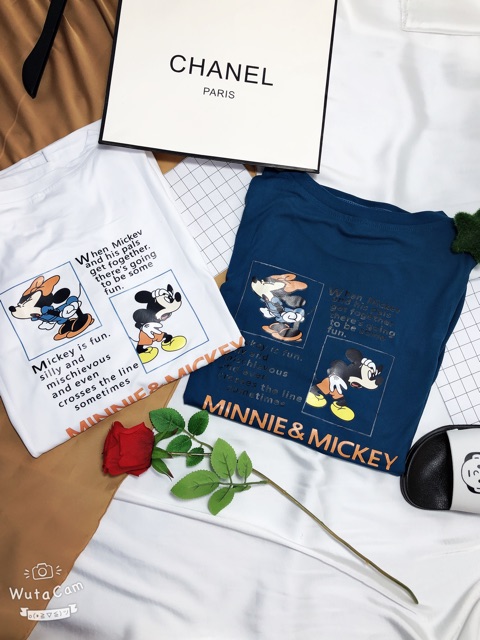 [54] [HÌNH THẬT]Áo thun đẹp ⚜️FREESHIP⚜️ Áo Thun Nữ Unisex Thun Nữ Quảng Châu CHAMPION [Thun Nu] | BigBuy360 - bigbuy360.vn