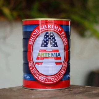 Bộ ấp trứng Artemia