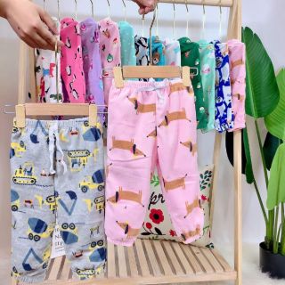 Combo 10 quần nỉ nhung cho bé