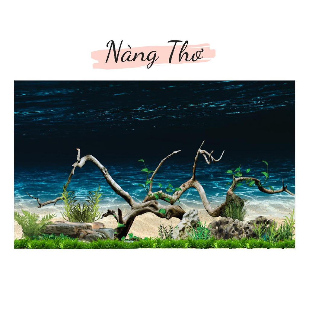 DECAL HỒ CÁ CÂY THUỶ SINH 3D_THIẾT KẾ NÀNG THƠ