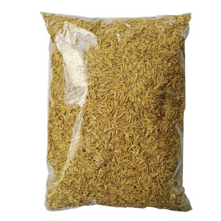 Vỏ trấu sống bao 5dm3 - dùng trộn đất để tăng độ tơi xốp cho đất