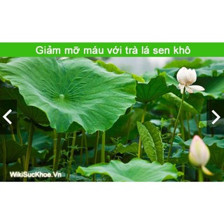 Trà Lá Sen Khô 500g