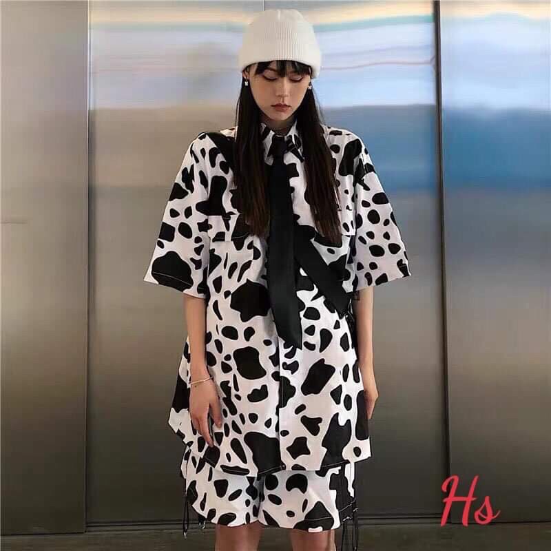 HSU1 Bộ bò sữa quần đùi