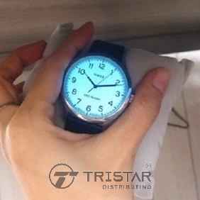 Đồng hồ Nam TIMEX Easy Reader Gen1 40mm TW2U22100 Dây Da - Chính Hãng