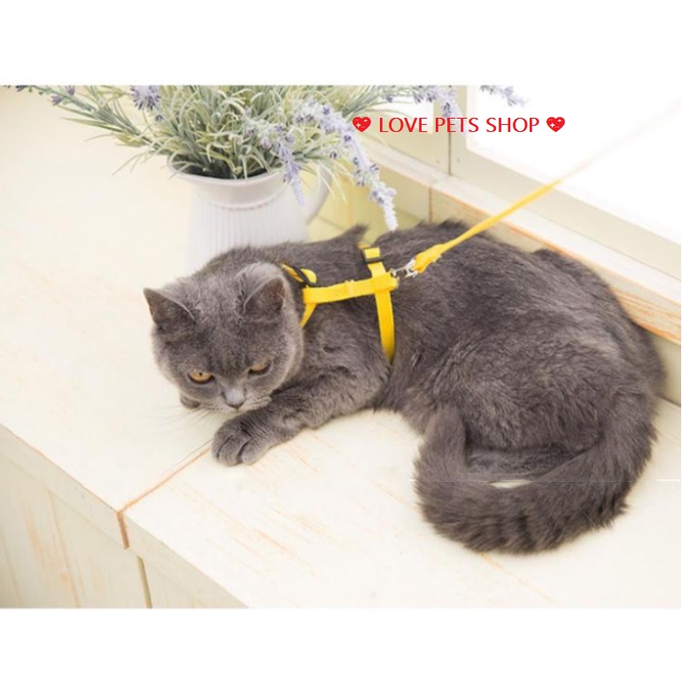 DÂY DẮT MÈO KÈM YẾM &quot;MẪU MỚI&quot; - LOVE PETS SHOP