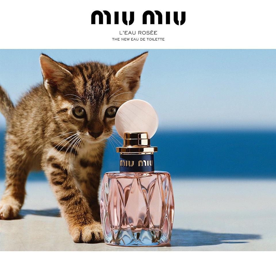 Nước hoa dùng thử Miu Miu L'Eau Rosee ᴮᴱᴱᴾᵉʳᶠᵘᵐᵉ