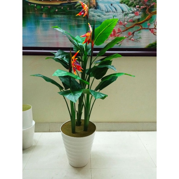 Chậu nhựa Tròn Xoắn, tròn trơn trồng cây thật ,cây giả