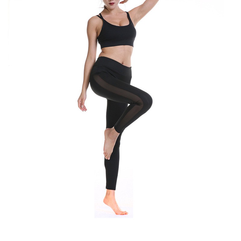 Quần dài thể thao nữ phối lưới cạp cao yy8878 Sportslink