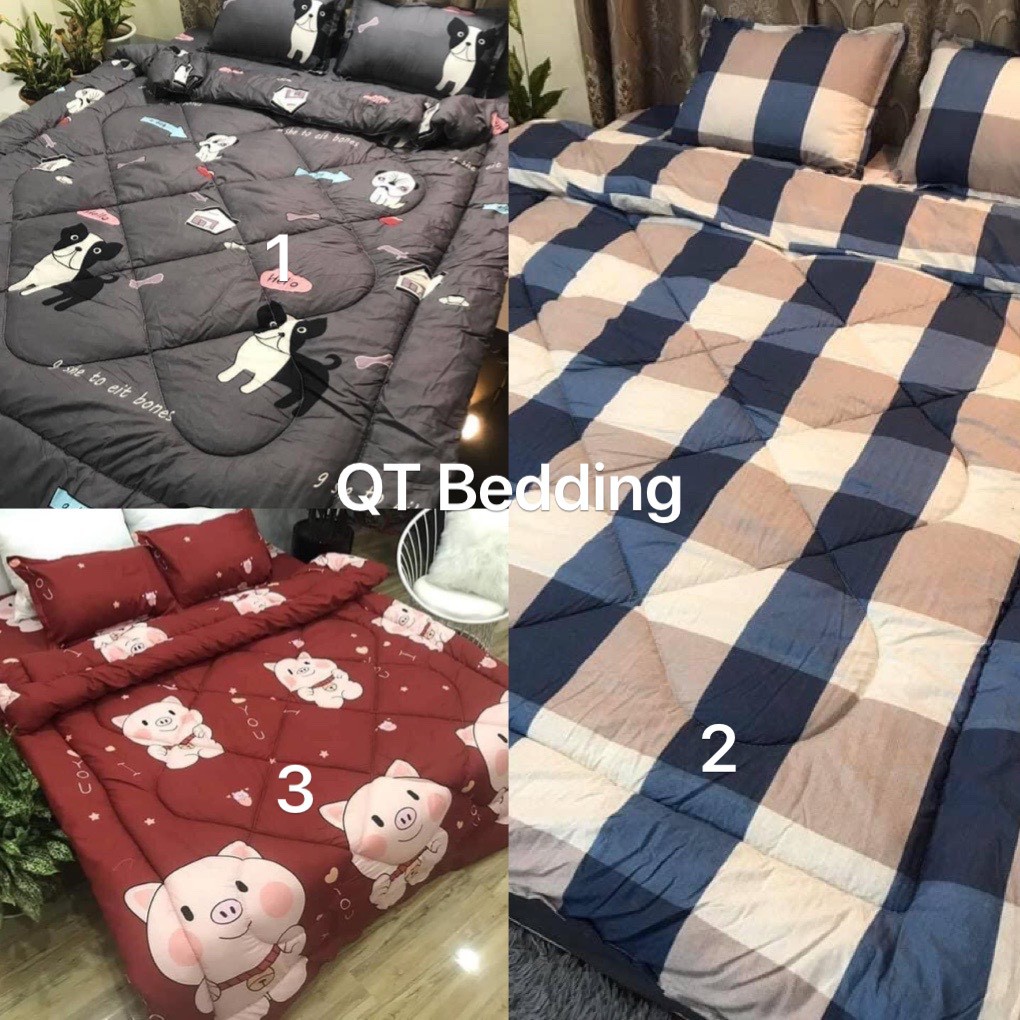 Bộ chăn ga gối 05 món Poly cao cấp Hot nhất 2021 | BigBuy360 - bigbuy360.vn