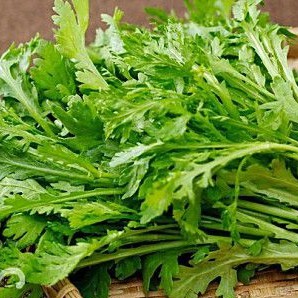 Hạt Giống Rau Tần Ô (20g)