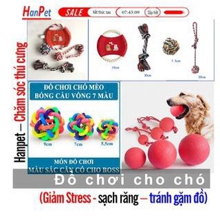 (Nhiều loại) Banh cho chó (Bóng tết thừng, banh 7 sắc, bóng tập cắn) đồ chơi chó mèo banh chó nhai sạch răng