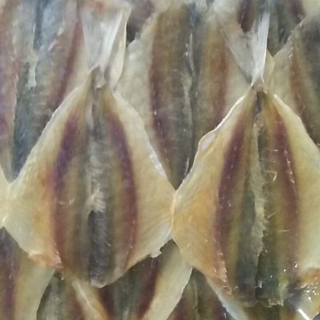 Cá chỉ vàng