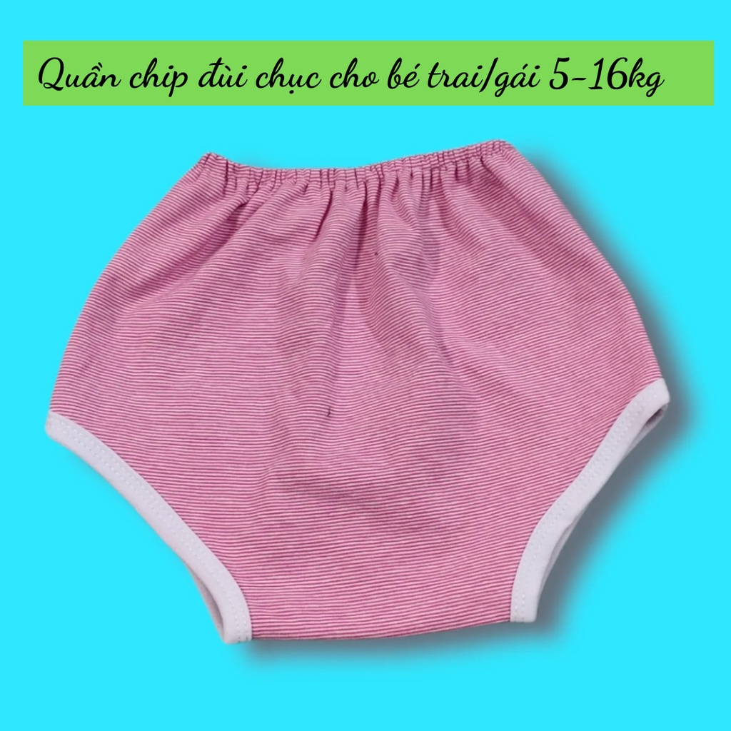 Quần chip đùi mẫu kẻ xinh xinh cho bé trai/gái 5-15kg