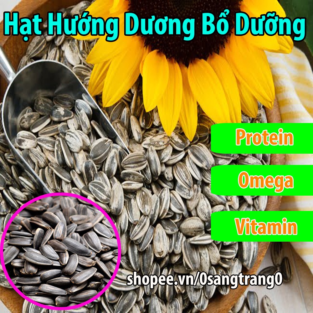 1kg Hướng Dương Lớn Bổ Dưỡng Cho Vẹt-Gà-Chim-Hamster-Rat-Đuôi Mập