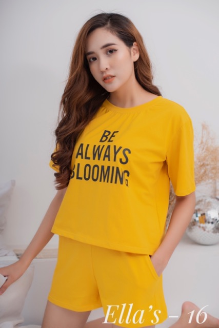 [Khuyến Mãi Sốc] Đồ Mặc Nhà - Cotton 100%- Mua 2 Tặng 1 | BigBuy360 - bigbuy360.vn