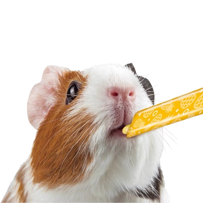 gel dinh dươngx nhập khẩu Nhật Bản Marukan cho thỏ, lang, bọ ú, Gunie pig (1 tuýp nhỏ 10gam)