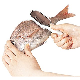 DỤNG CỤ LÓC VẨY CÁ KAI BE0807