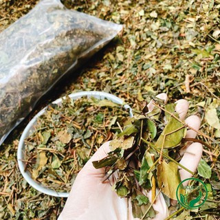 🌱 1kg chè vằng lá sẻ - sản phẩm được thu hái tự nhiên - dlq200