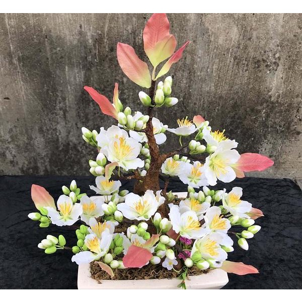 HẠT GIỐNG Cây Hoa Bạch Mai Quý Hiếm