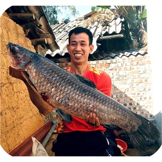 Thính câu Trắm Đen - Ngư Phủ