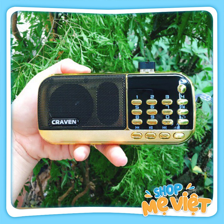 Loa Đài Nghe Nhạc Craven, Loa tắm Ngôn Ngữ Kèm Thẻ nhớ, USB