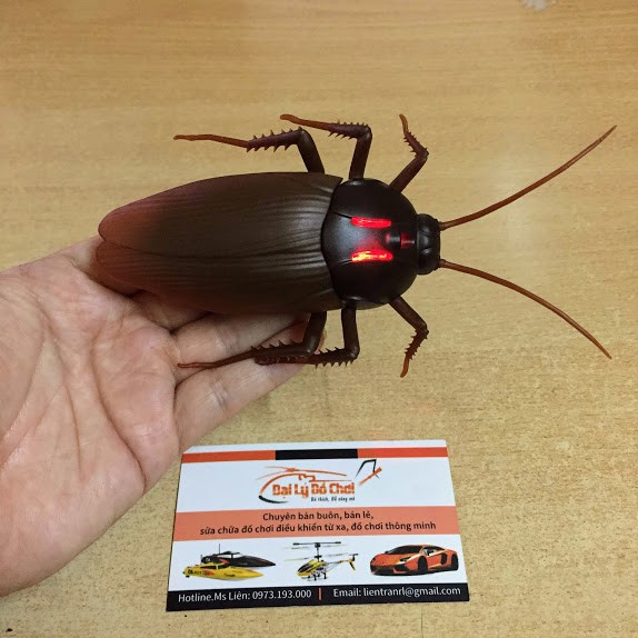Gián mini điều khiển từ xa ngộ nghĩnh