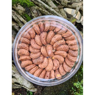 Hạt điều ⚡ FREESHIP ⚡ Hạt Điều Rang Muối A Cồ Việt Loại A+ Cao Cấp -500GR