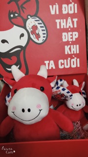 Thùng gấu bông bò cười