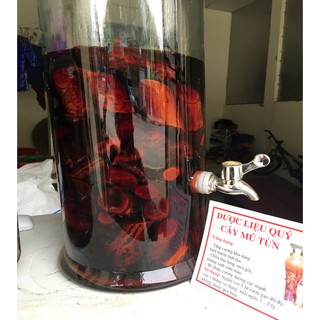 Rễ Mú Từn Tươi Sơn La -1Kg