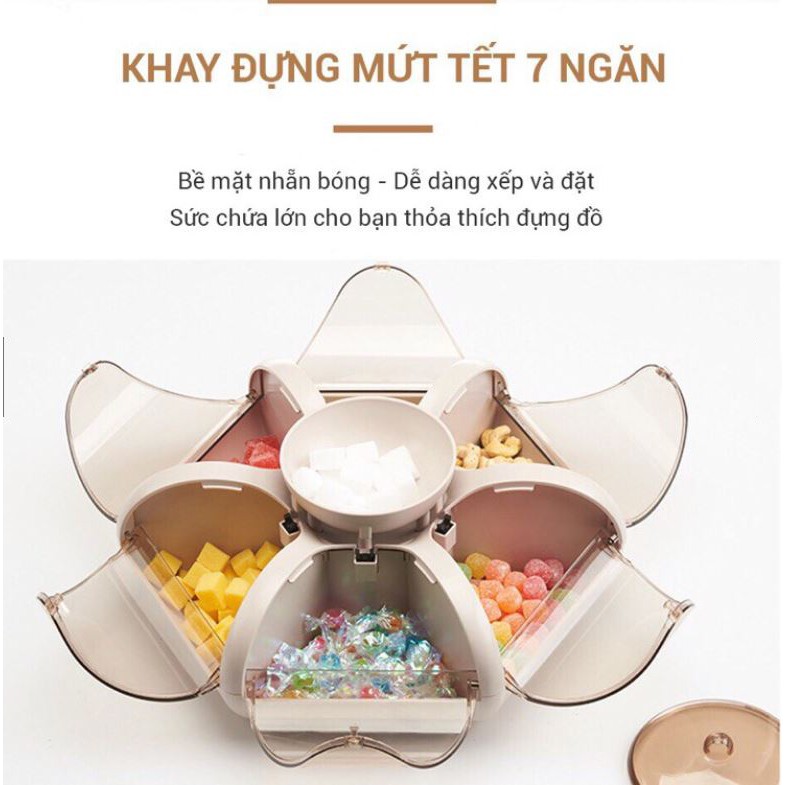 Khay Đựng Mứt Tết Hoa Sen 6 Cánh Tự Bung  Khay Mứt Tết 2021  Hộp Đựng Bánh Kẹo Tết Tự Bung Xịn Xò