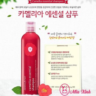 Dầu Gội Innisfree Camellia Essential Shampoo