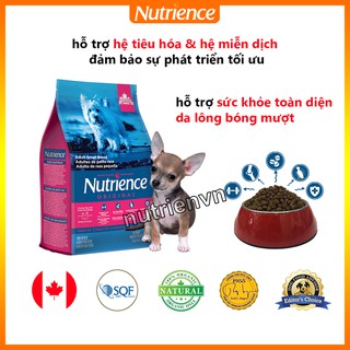 Thức Ăn Cho Chó Chihuahua - Nutrience Original Bao 500g - Thịt Gà, Rau Củ Và Trái Cây Tự Nhiên