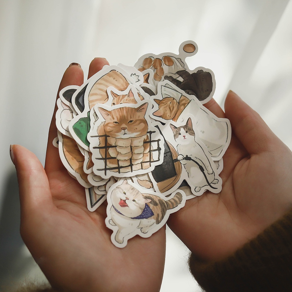 Combo 54 Sticker Biểu Cảm Siêu Kute Mèo Ngộ Nghĩnh