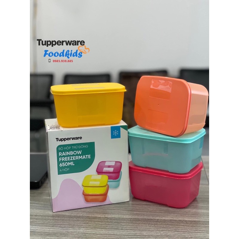 Bộ hộp trữ đông Freezermate Rainbow 4 hộp 650ml Tupperware