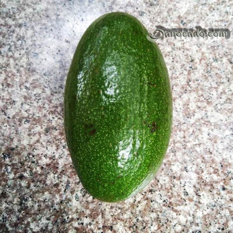 CÂY BƠ GIỐNG THÀNH BÍCH