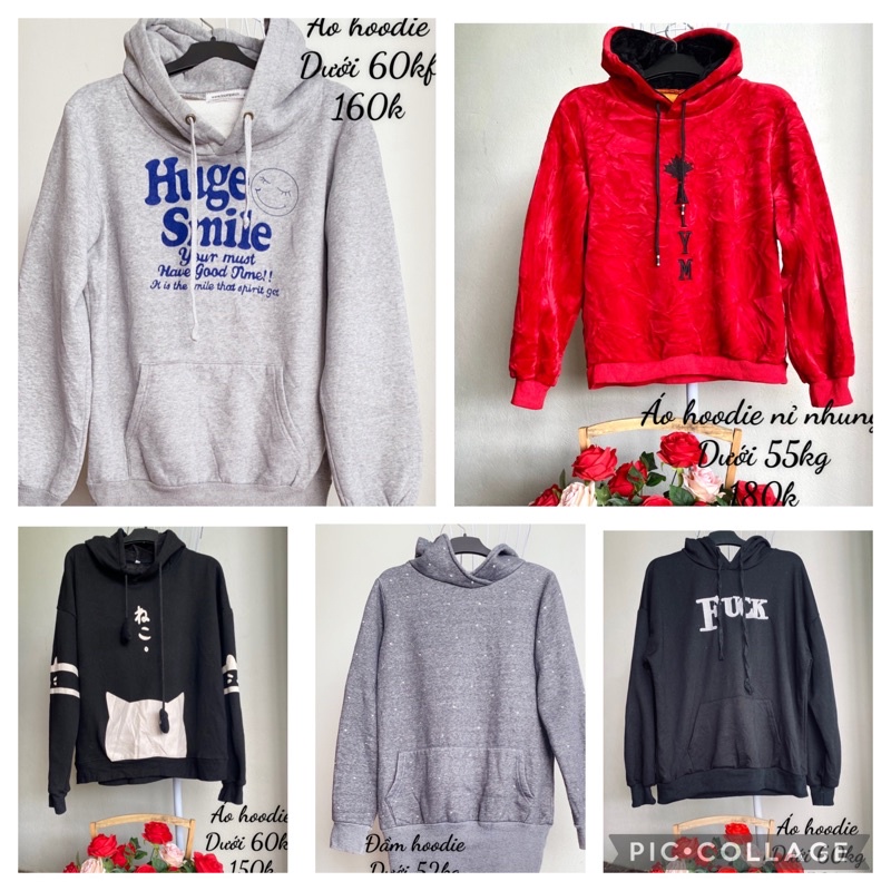 Áo hoodie kiểu