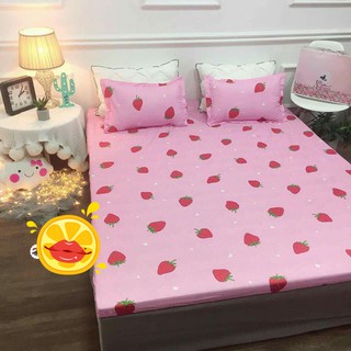 Ga trải giường poly 1m6-123giare mẫu dâu hồng