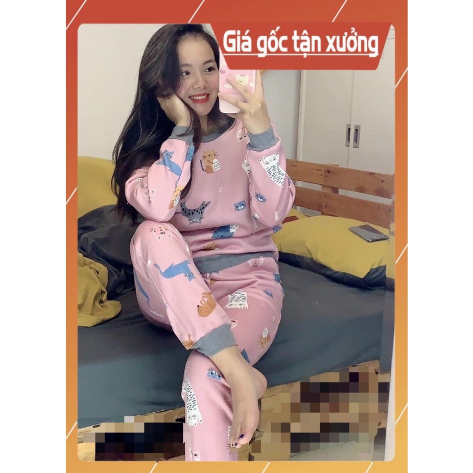 Bộ đồ ngủ cotton giữ ấm cao cấp mùa đông | BigBuy360 - bigbuy360.vn