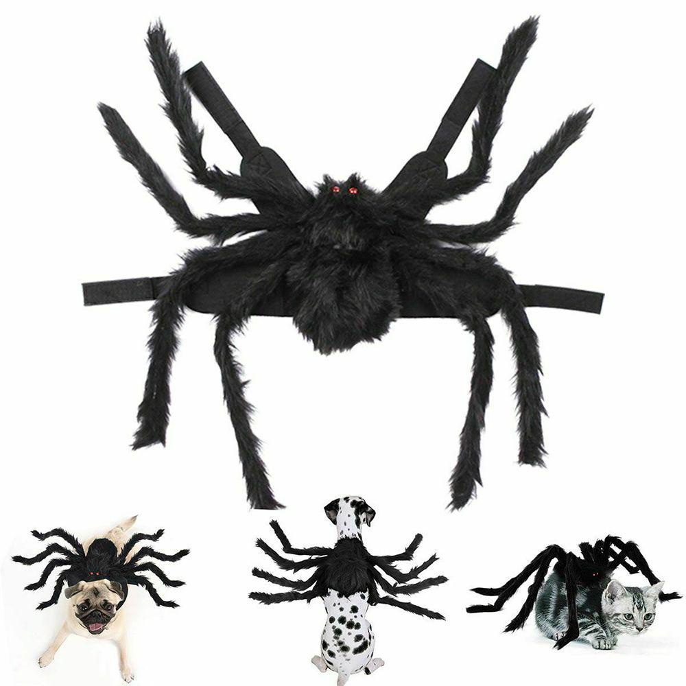 (MớI) Bộ Đồ HóA Trang NhệN LAYOR1 Cho Thú Cưng