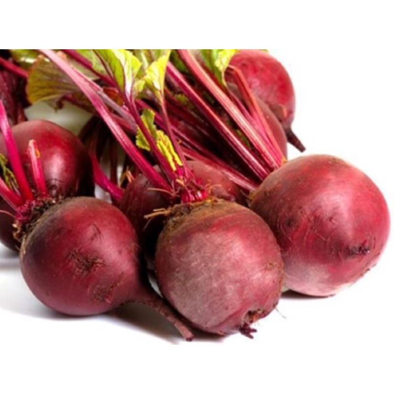 Hạt giống củ dền đỏ cao sản F1
