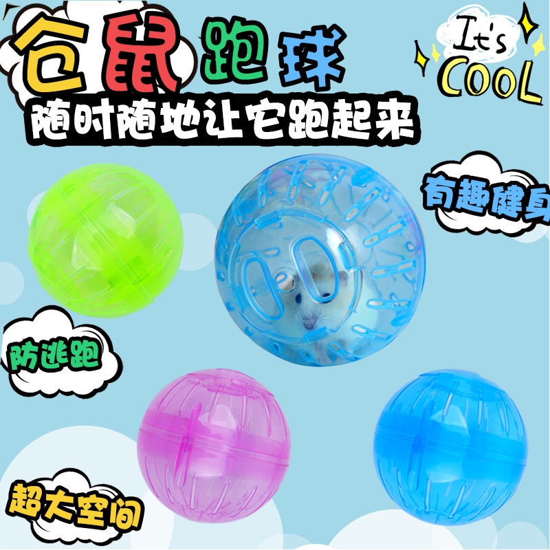 Đồ Chơi Bóng Chạy Cho Hamster, Banh Chạy Nhựa Lăn Tự Do Trong Nhà - iPet Shop