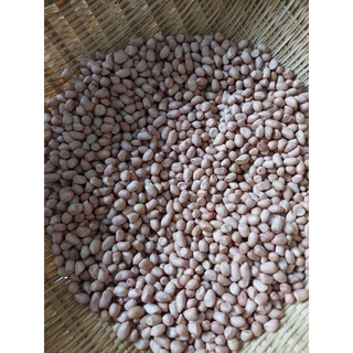 ĐẬU PHỘNG /LẠC TƯƠI 500g