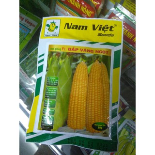 Hạt giống bắp ngọt lai f1 (bắp Mỹ)