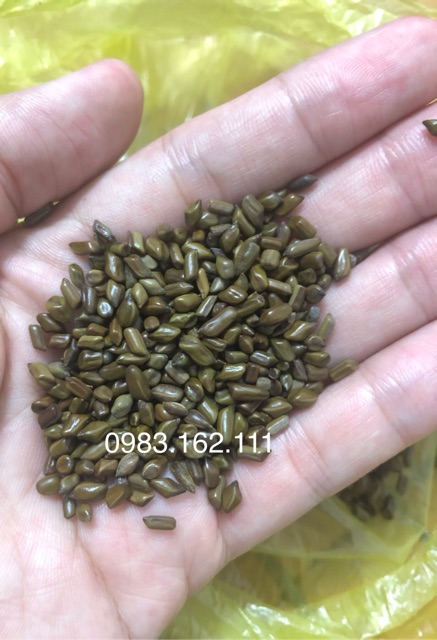Đồ chơi hạt muồng xúc cát đầy đủ cho bé